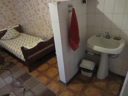 Фото Галант