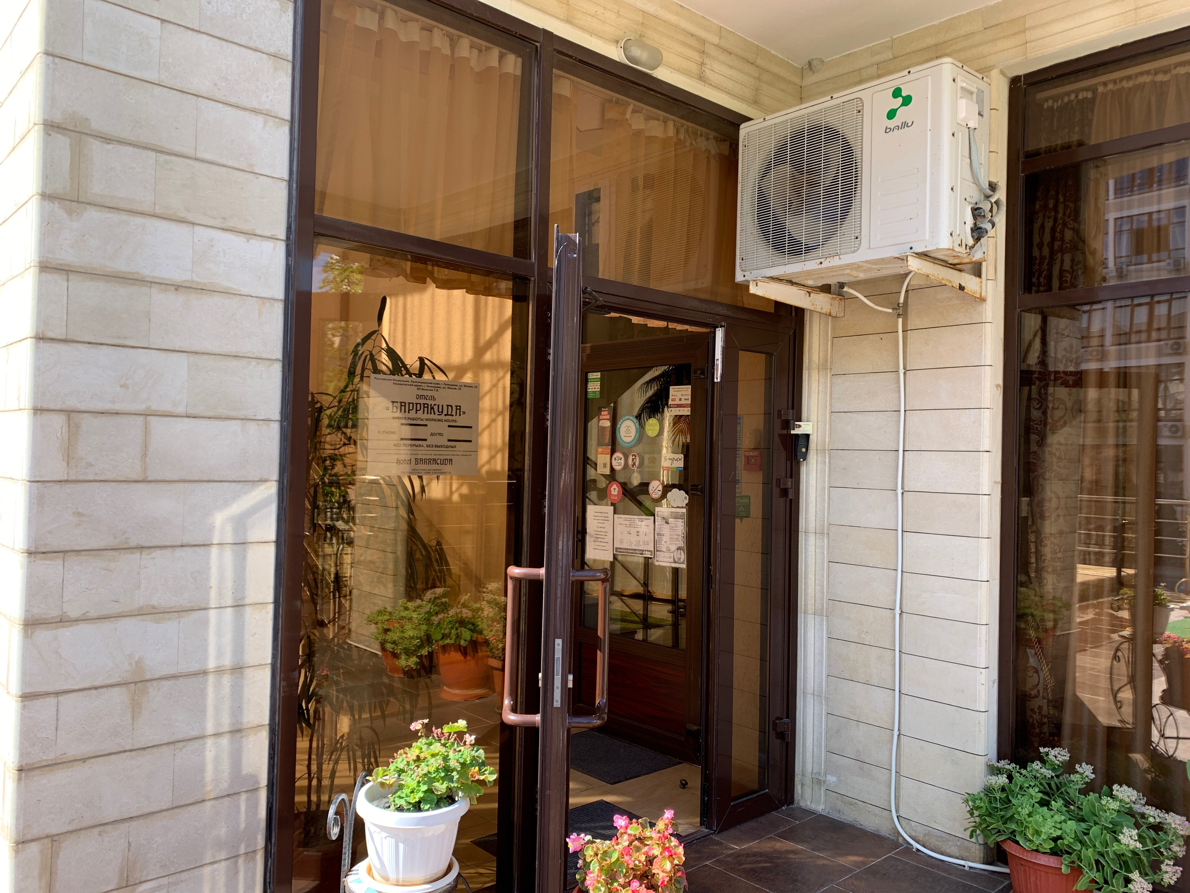 Фото Барракуда