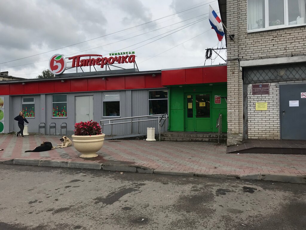 Пятерочка центральная ул 8а поселок чисмена фото