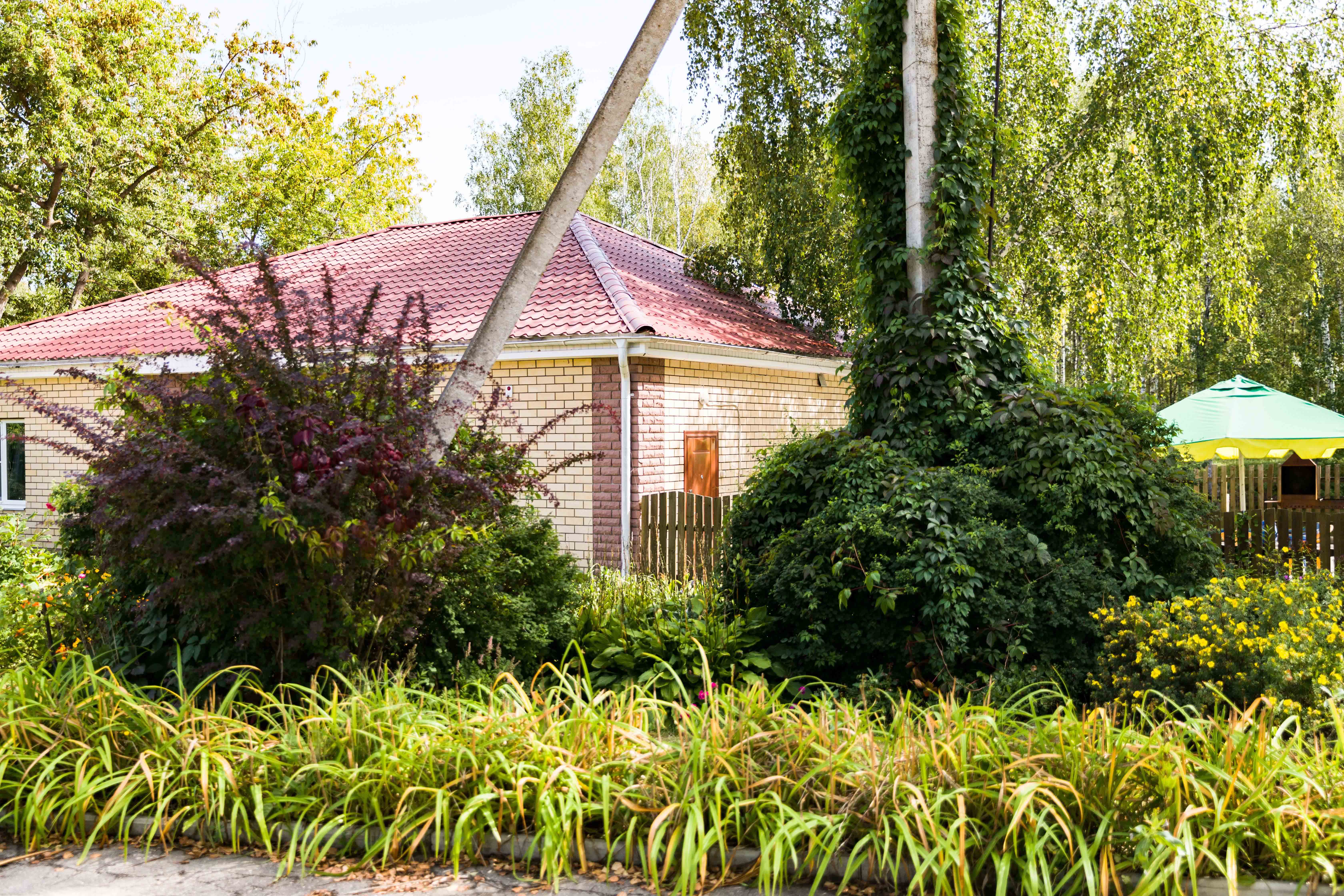 Фото Ясная Поляна