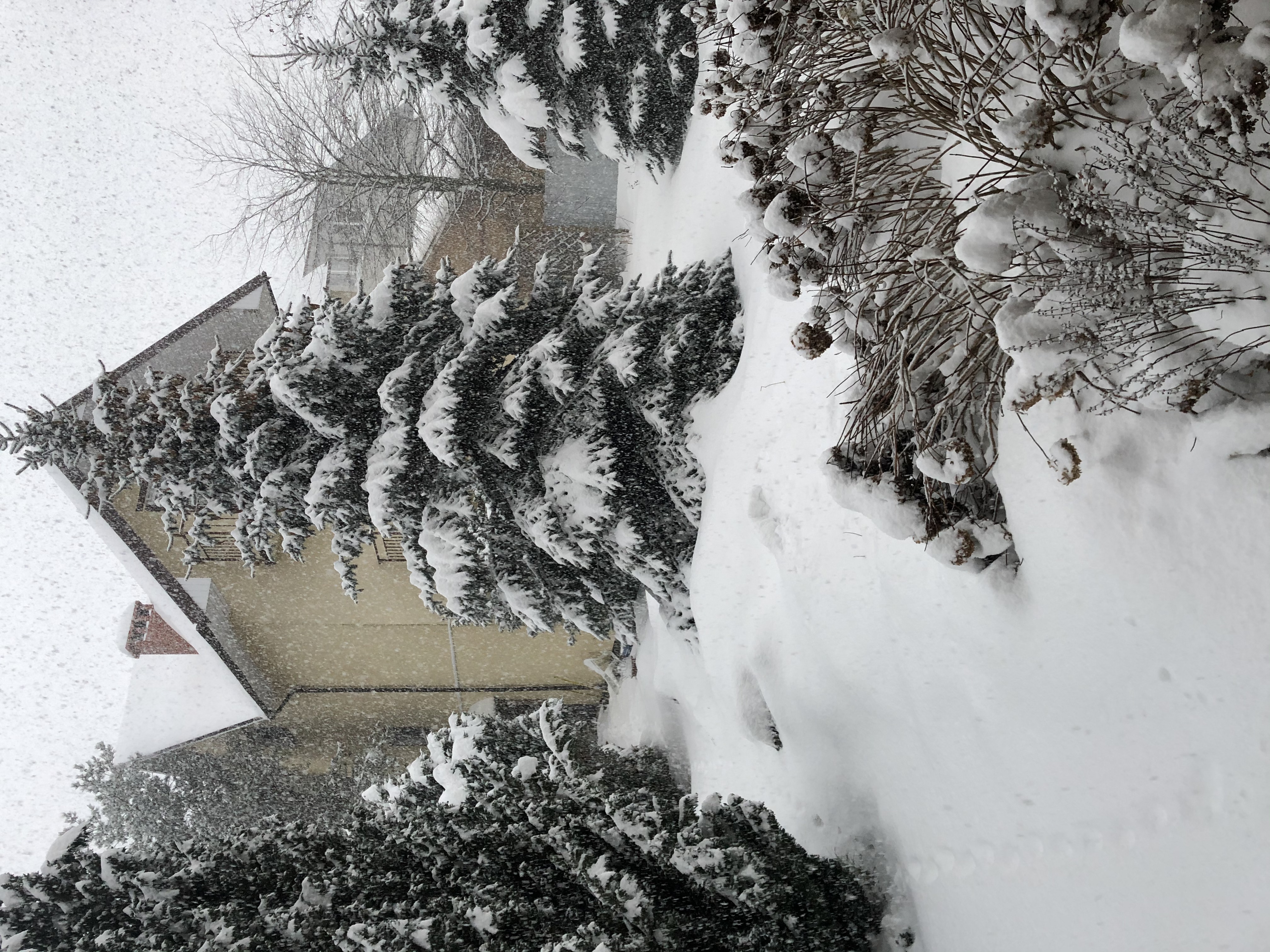 Фото Понарт