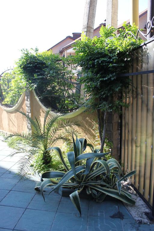 Фото Буржуазия