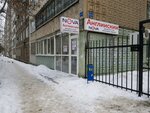 Nova (ulitsa imeni V.G. Rakhova, 168/184), foreign language courses