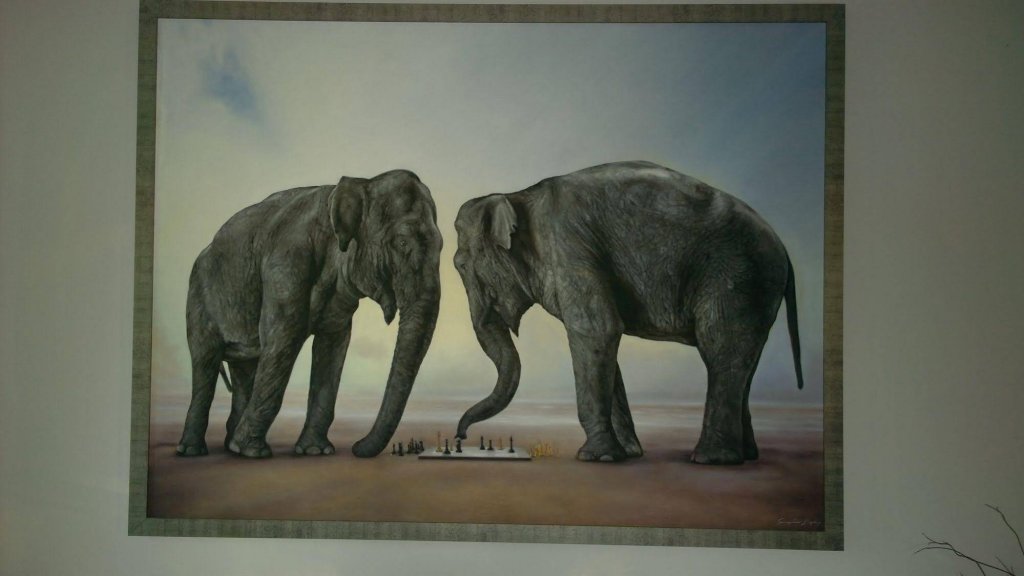 Фото Hotel Cemar