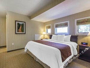 Гостиница Quality Inn & x26; Suites Downtown
