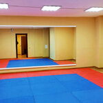 Aikistudio (Nagatinskaya Embankment, 16к3), club deportivo, sección