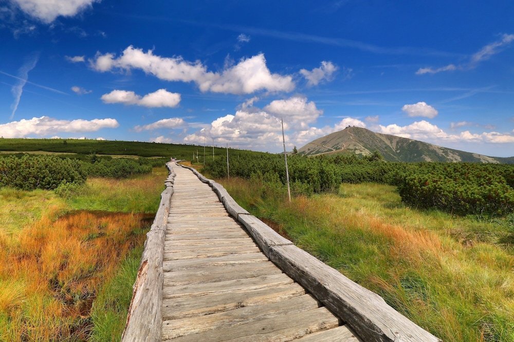 Фото Hotel Horizont