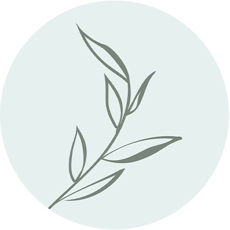 NDVent