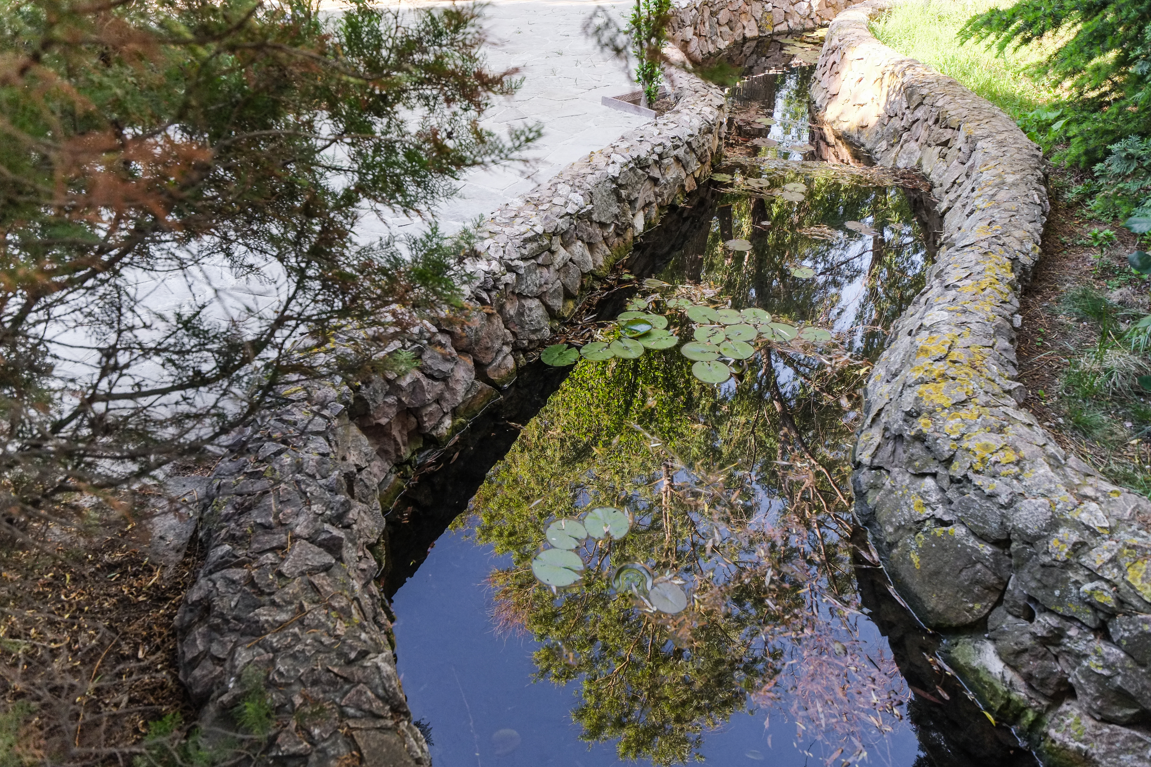 Фото Качинская