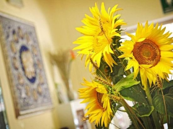 Фото Hotel Oasi del Mare