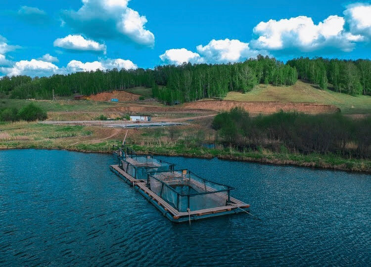 Татфорель республика татарстан лениногорский район фото