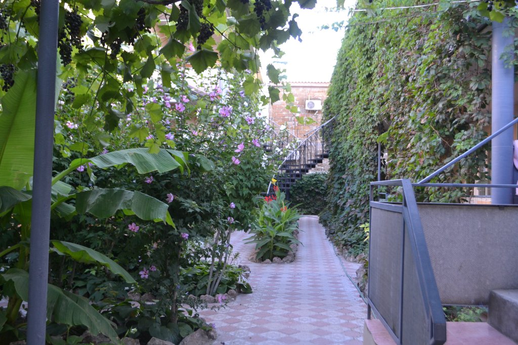 Фото Черноморский Дворик