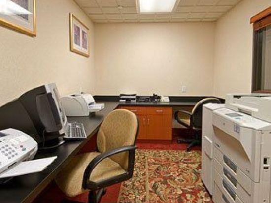 Фото Comfort Inn & Suites Arlington Heights - Schaumburg
