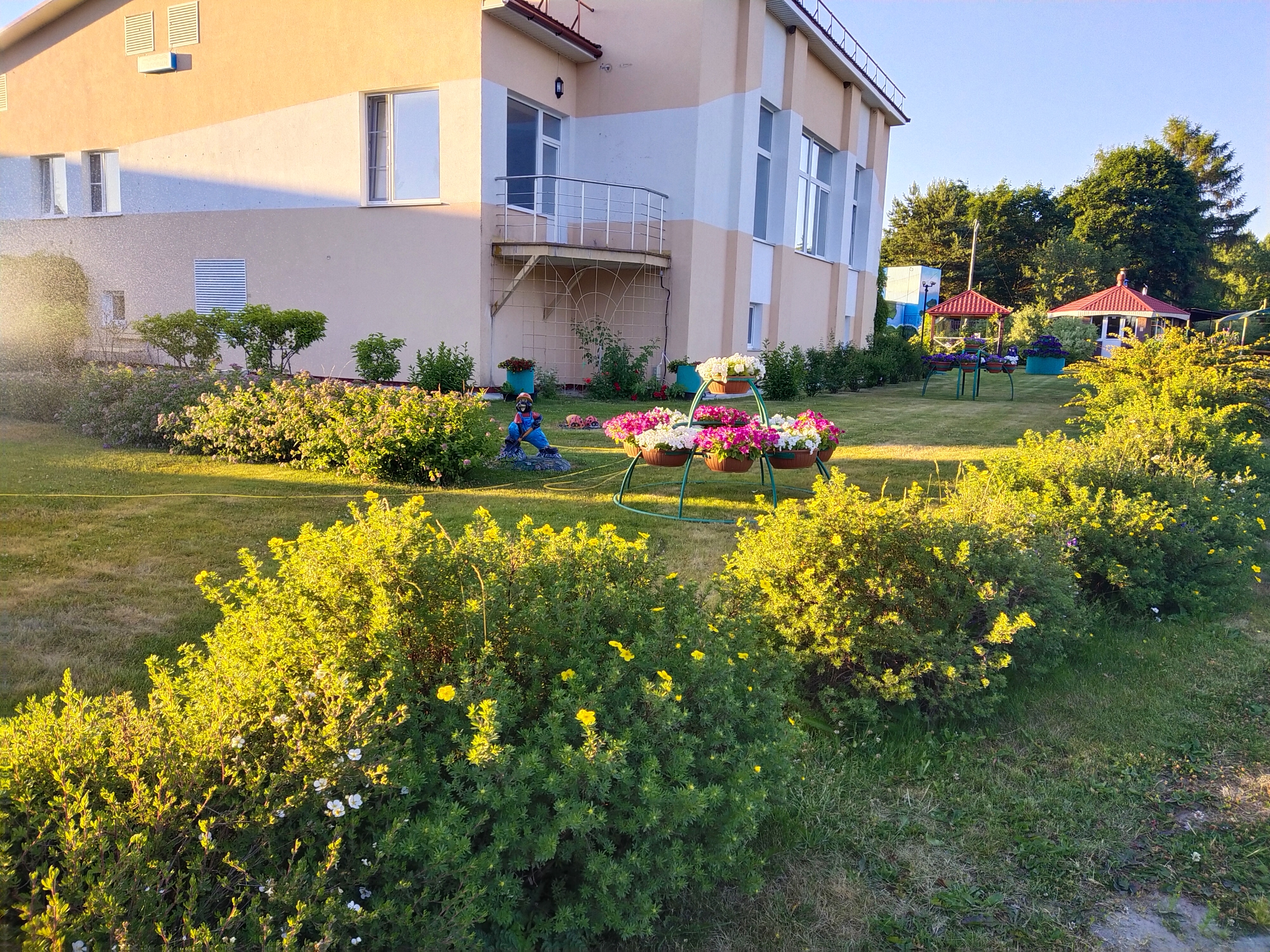 Фото Розовая дача