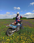 Sib-enduro (Novosibirsk, Chasovaya ulitsa, 93) ، مدرسة القيادة