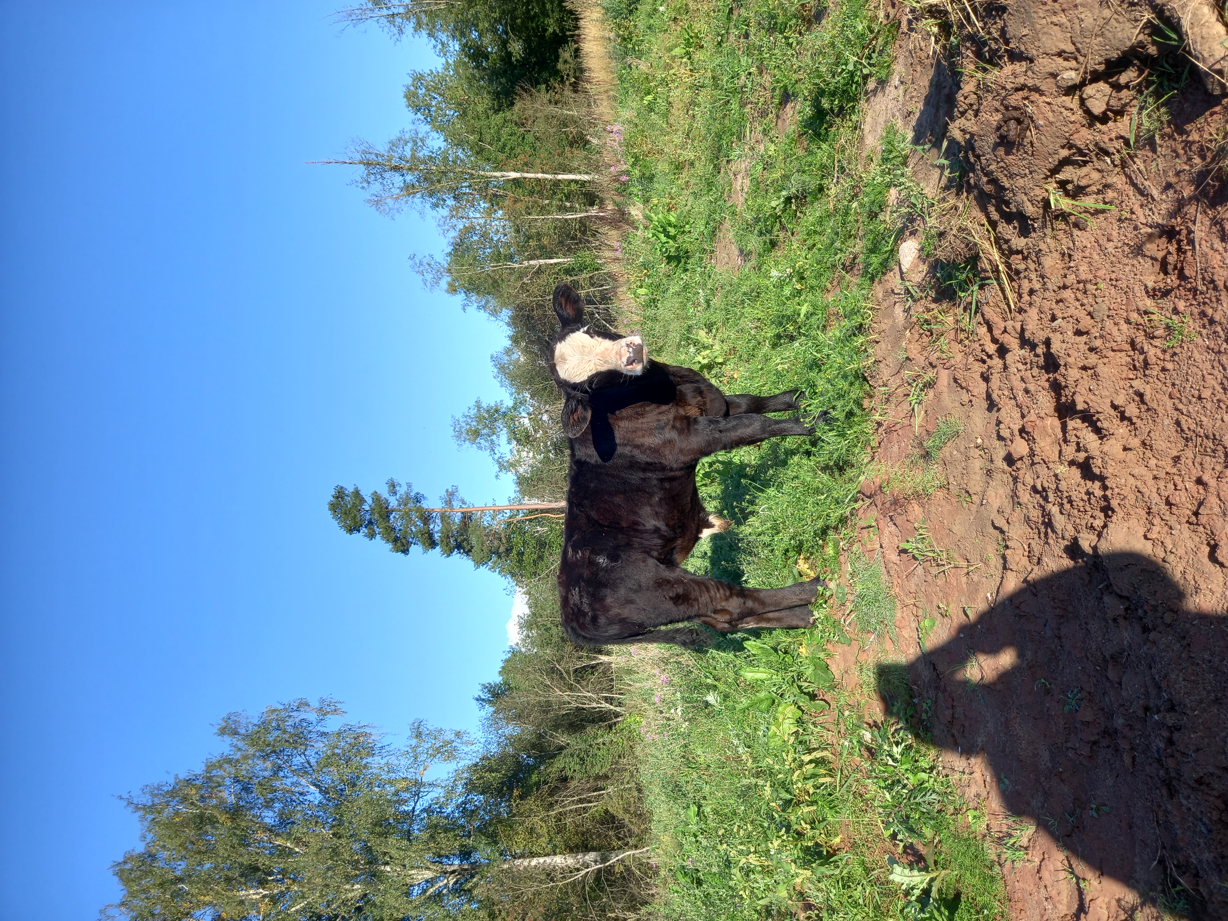 Фото Усадьба Хотило