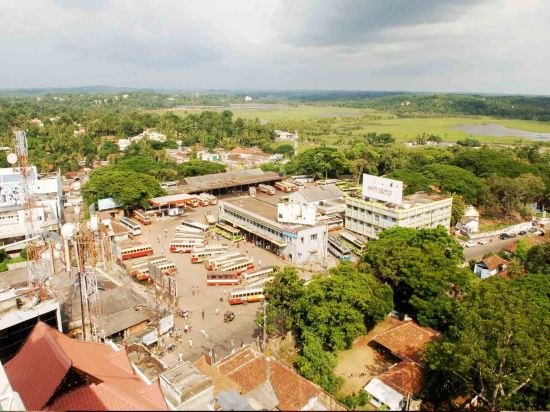 Фото Hotel Arcadia