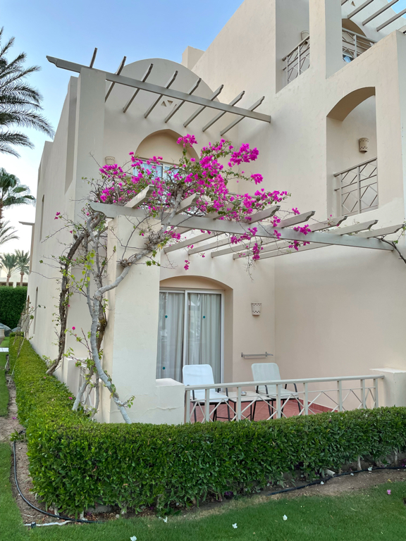 Фото Джаз Макадина