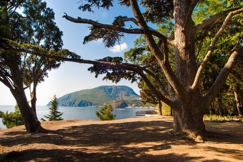 Фото Медуза