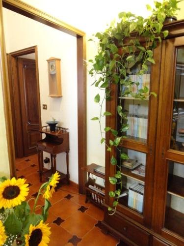 Фото Appartamento Oltre Le Mura Casa Vacanze Oltre Le Mura