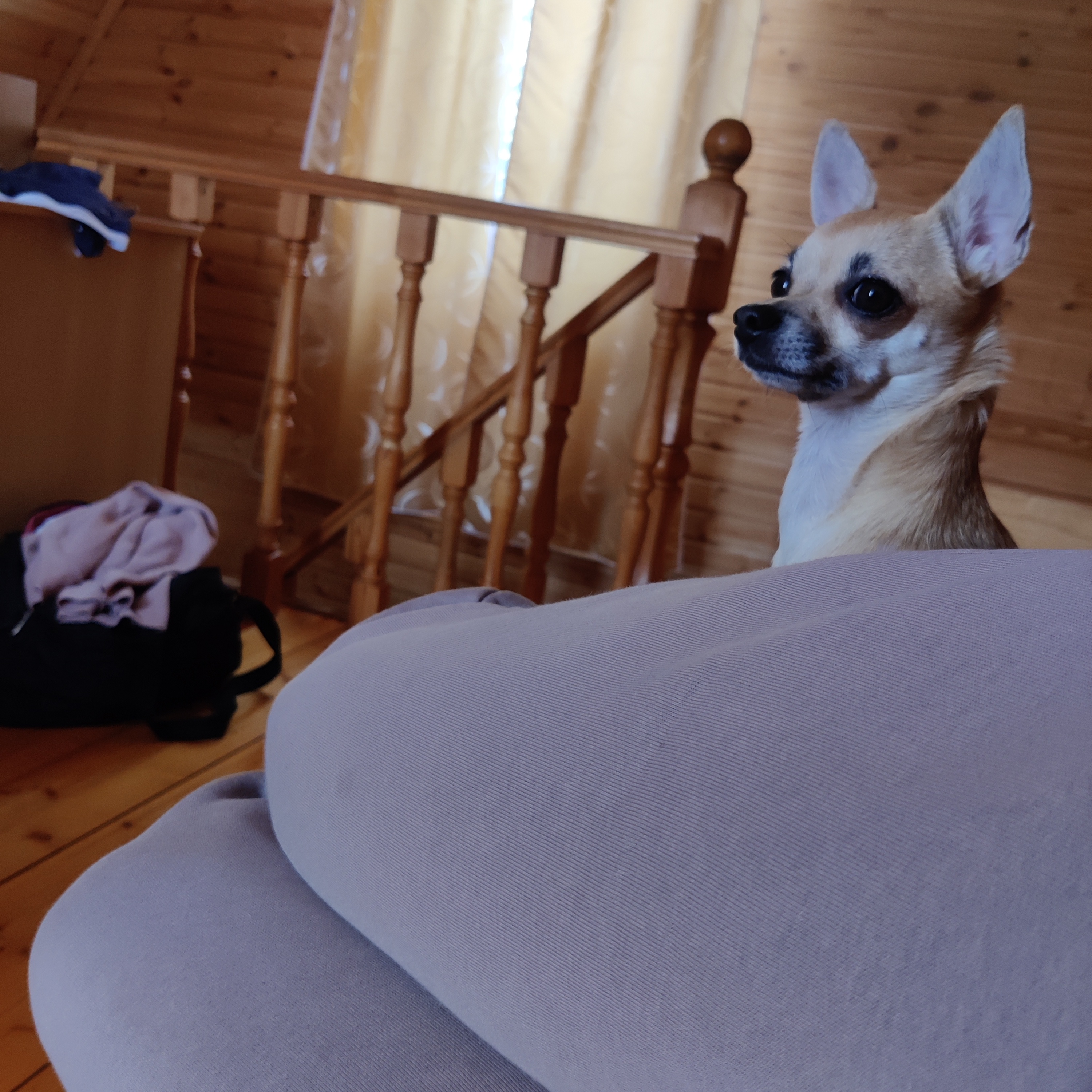 Фото Дункан