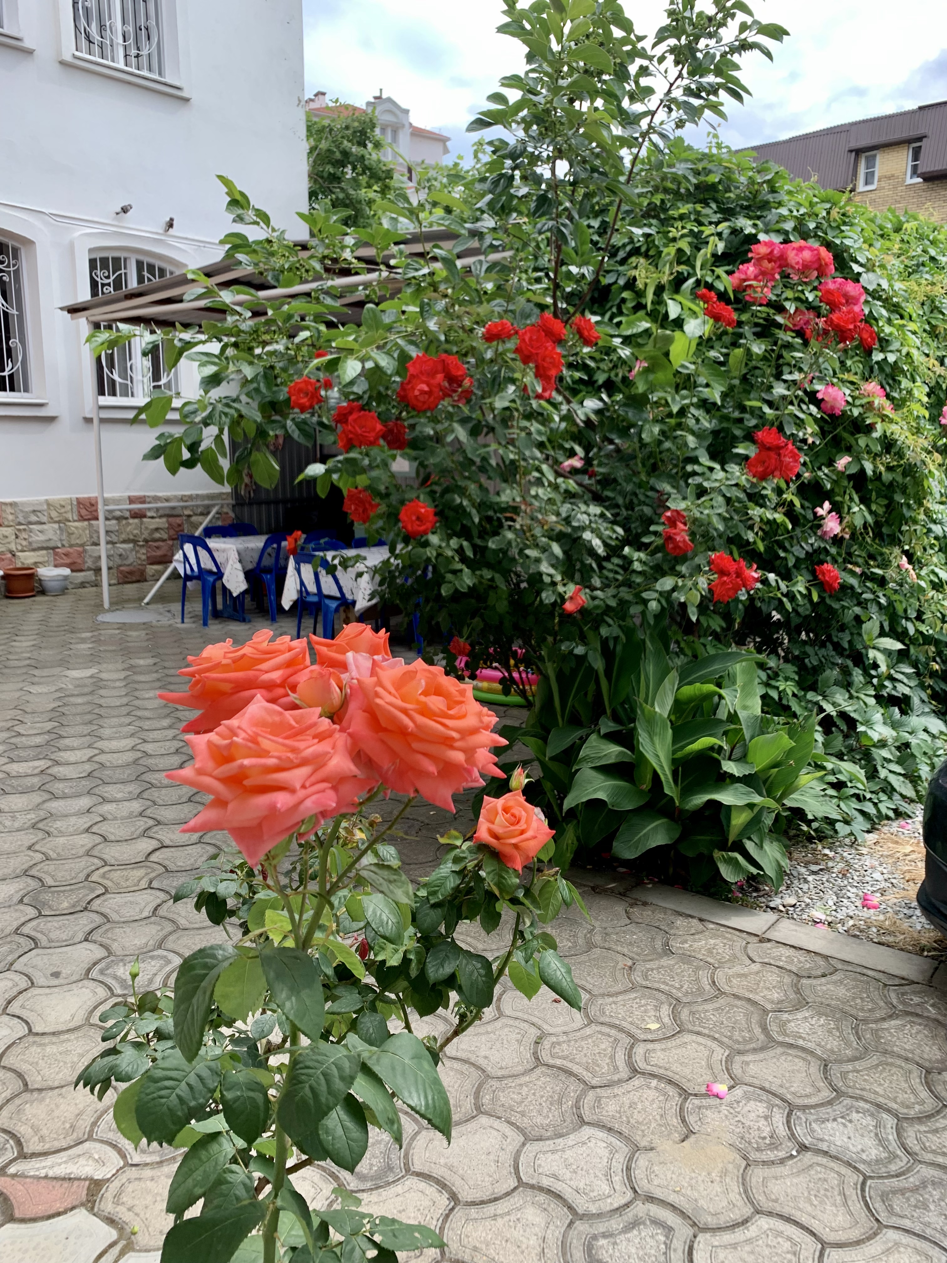 Фото Нинель