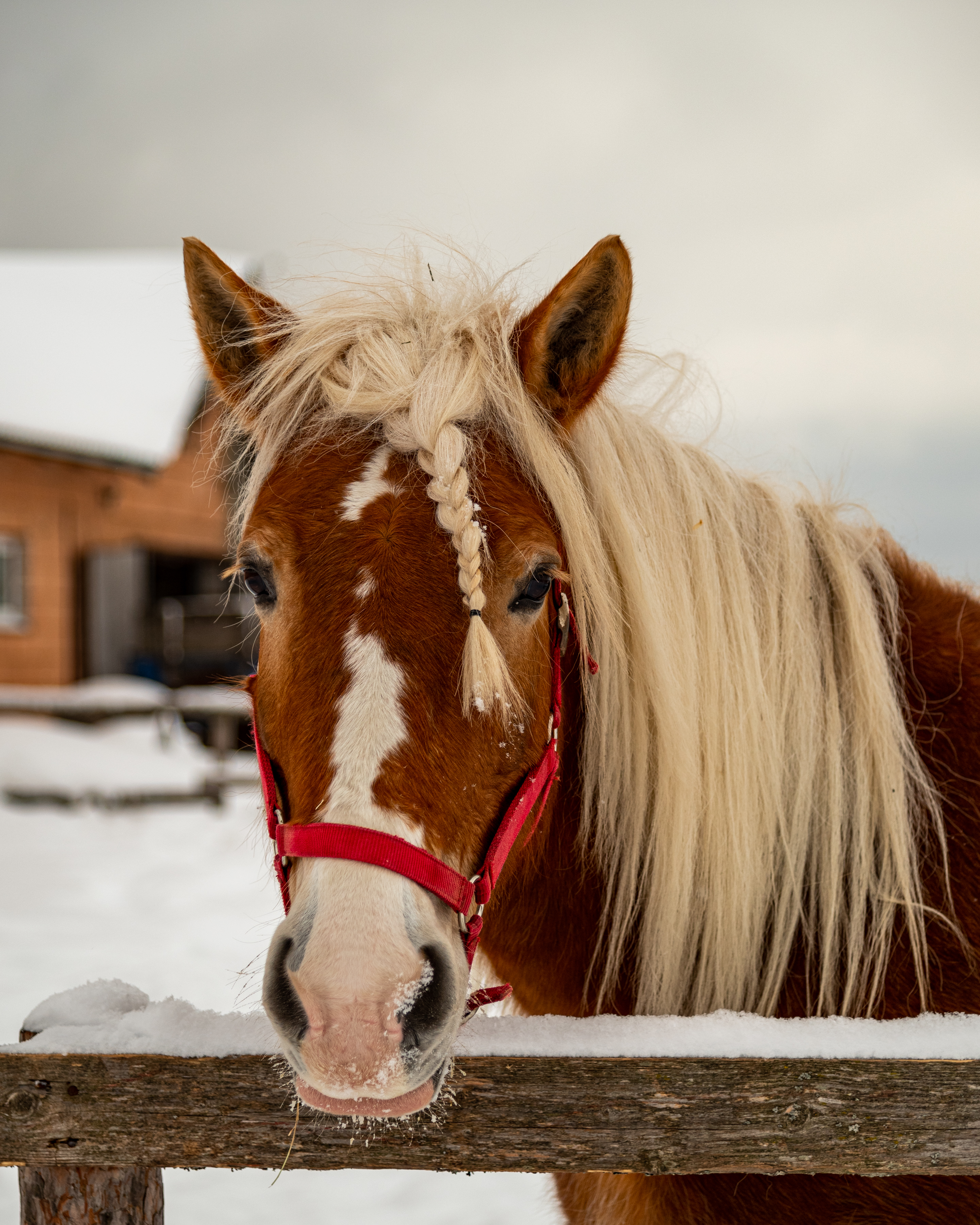 Фото Эко клуб на Ферме
