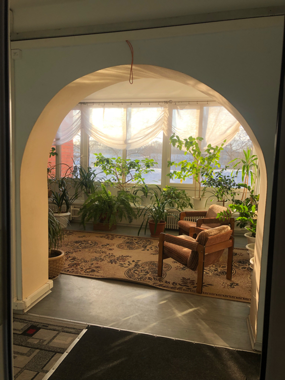 Фото Роза ветров