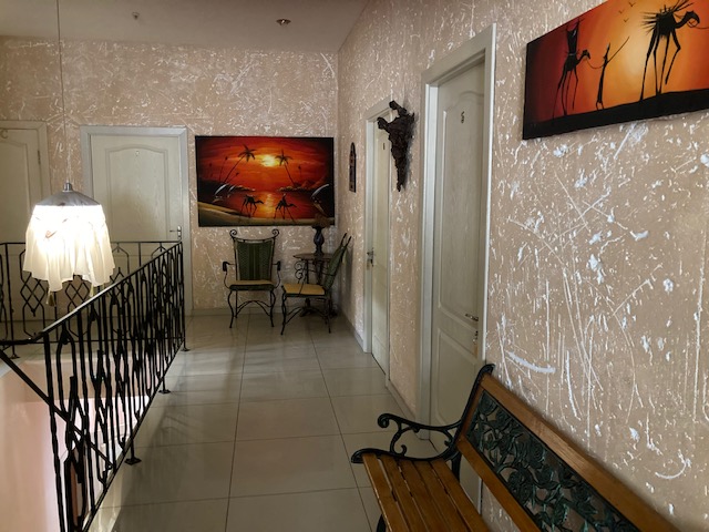 Фото Арабика