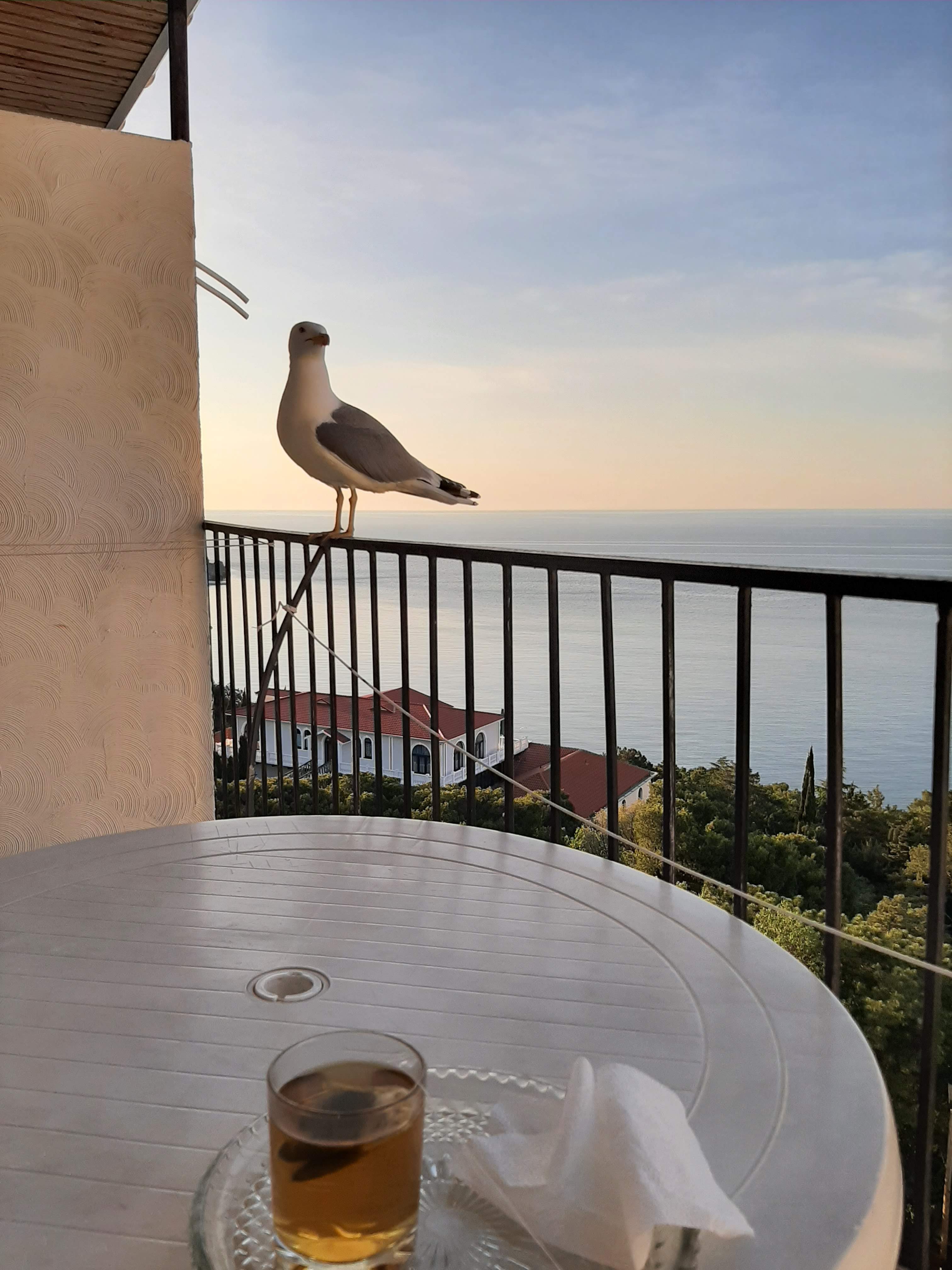 Фото Ай Тодор Юг