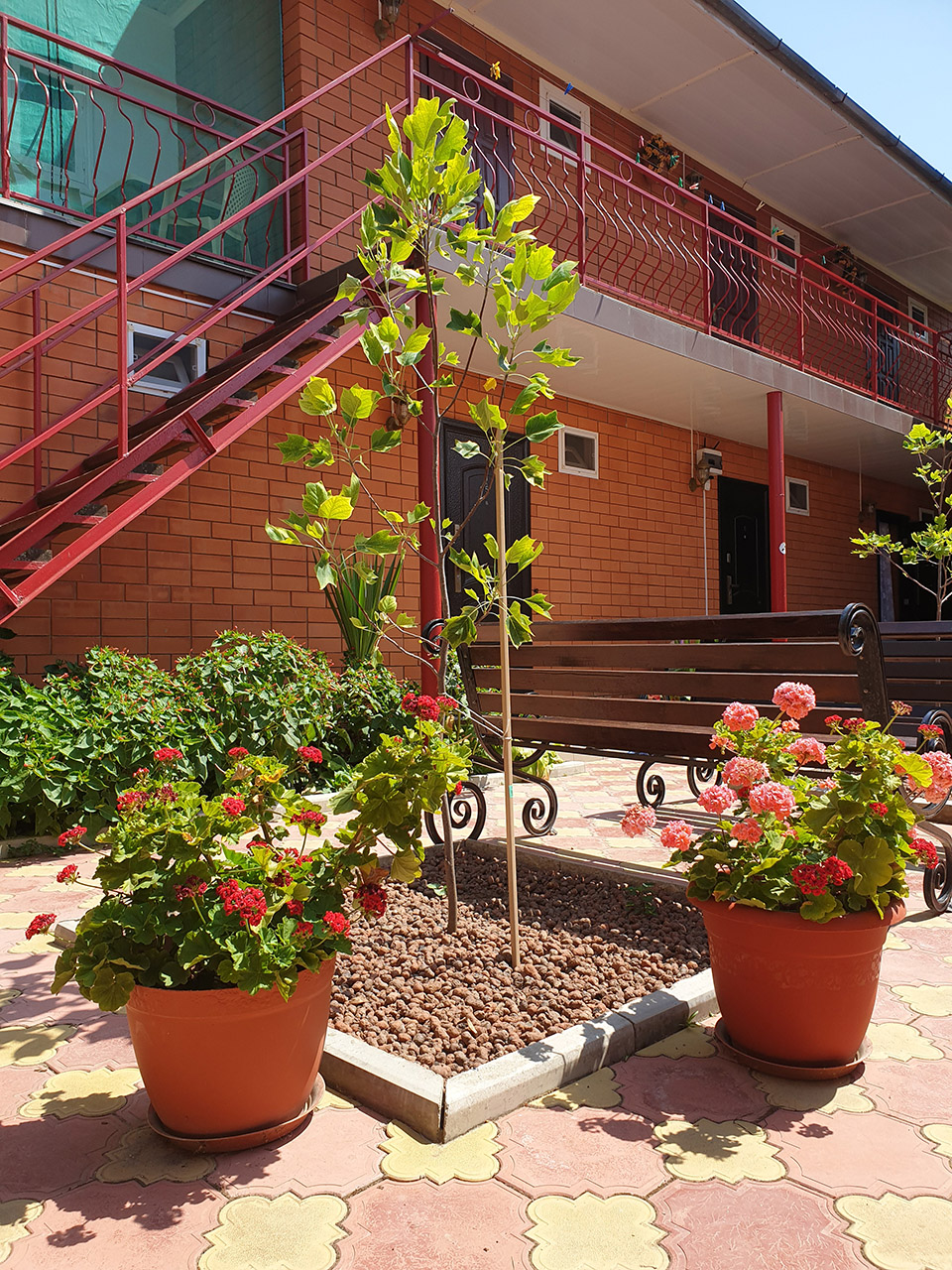 Фото Золотые Пески