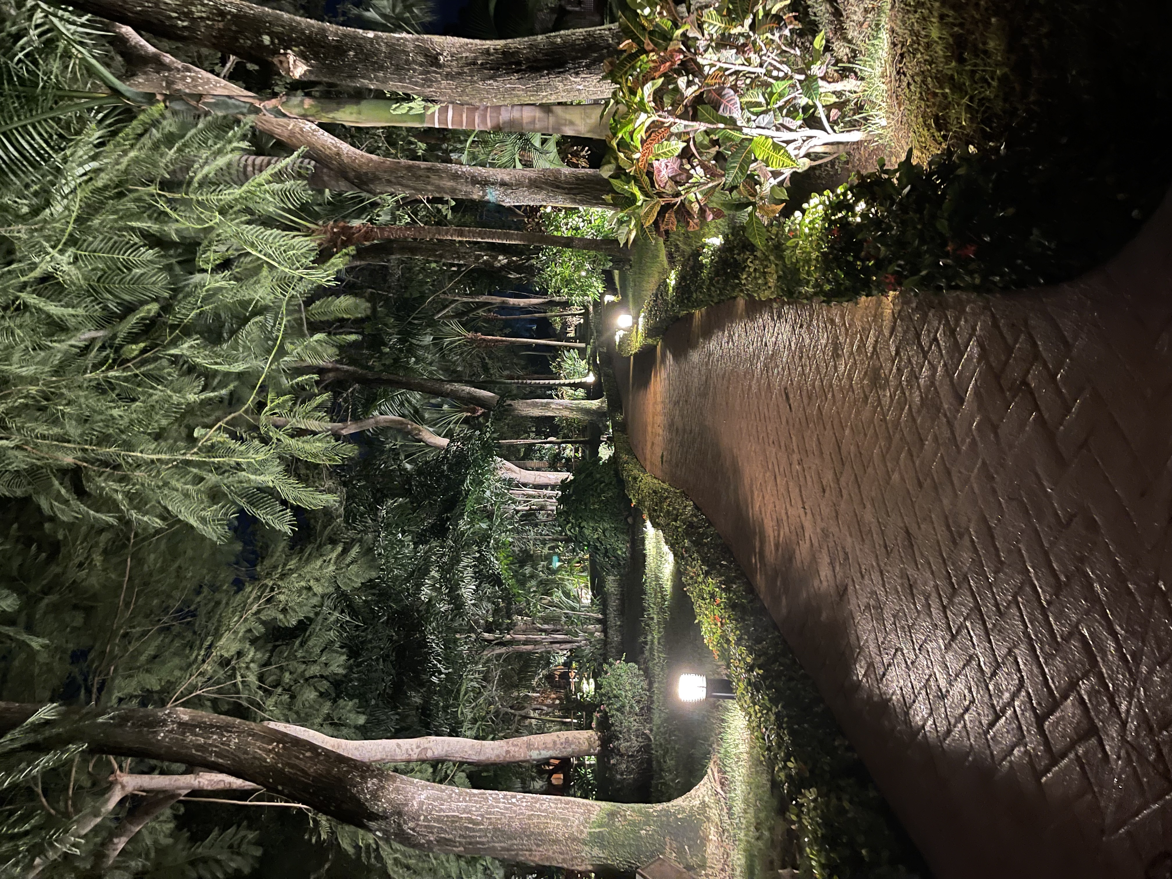 Фото Iberostar Selection Hacienda Dominicus