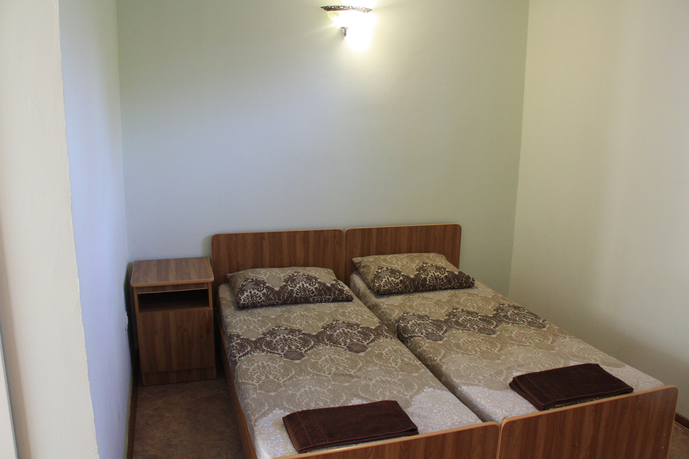 Фото Ромашка