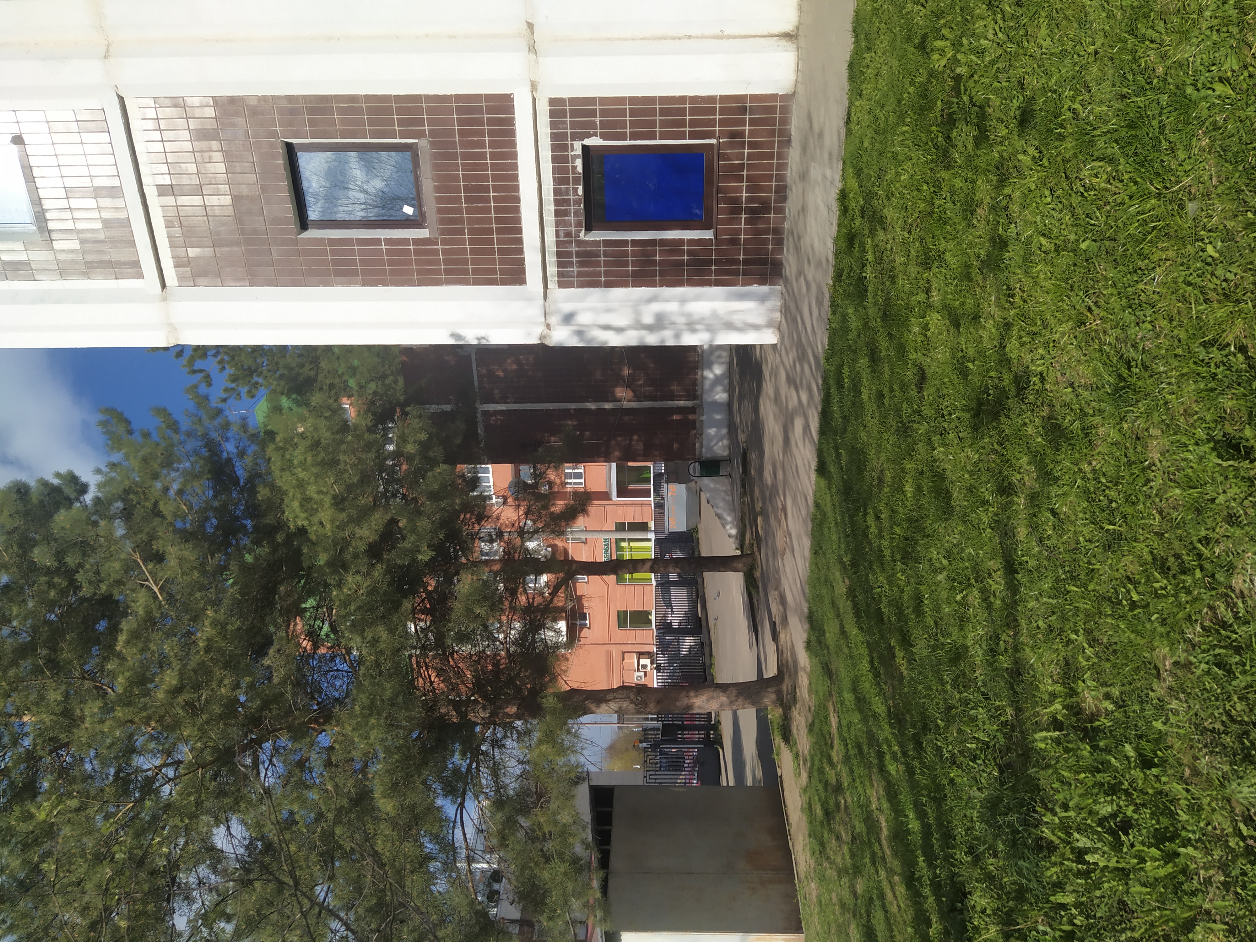 Фото Вежливый Лось