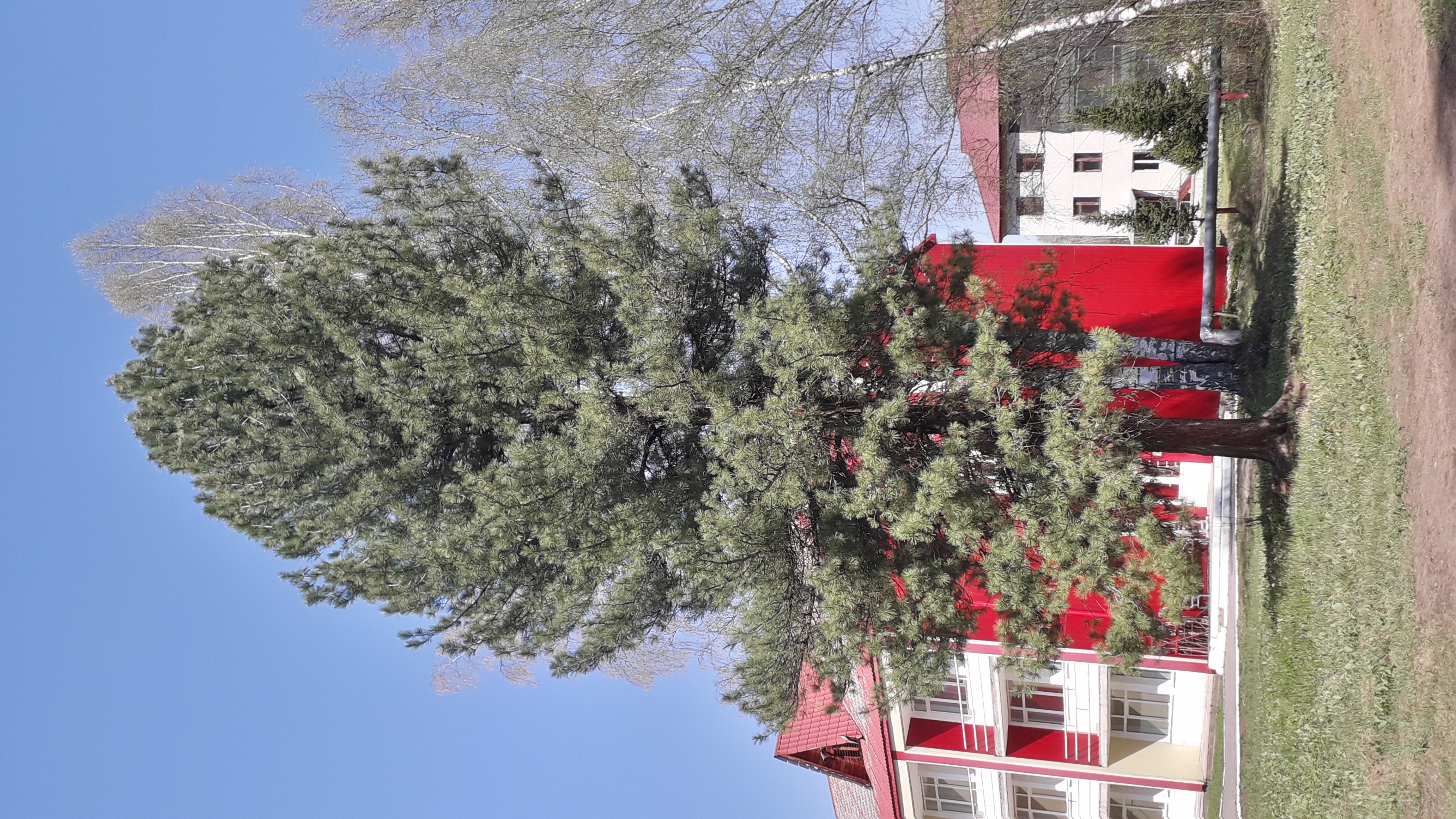 Фото Фантазия