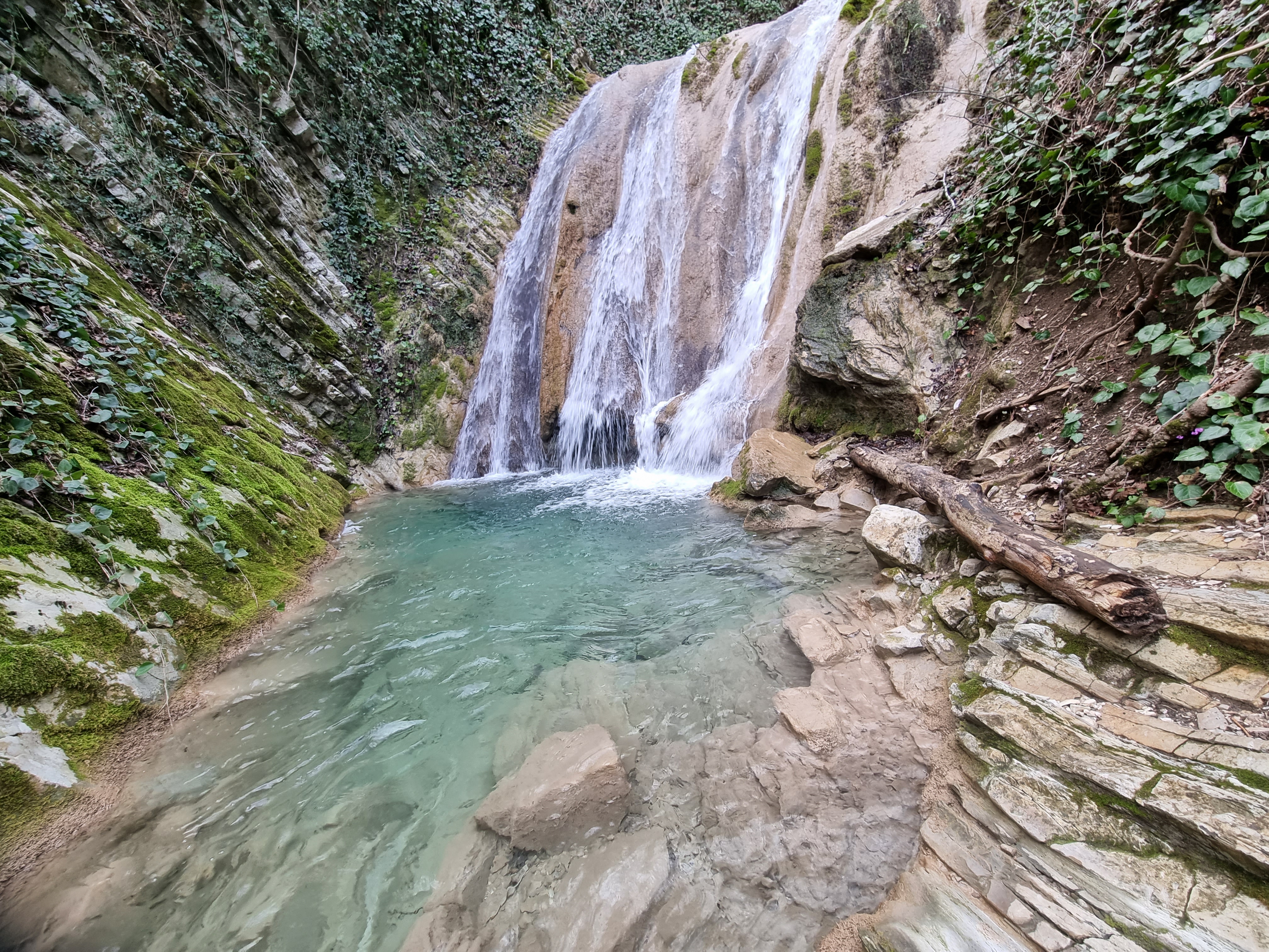 Фото Виллоо Боско