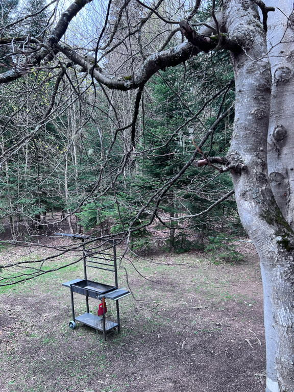 Фото Сияние Family Club