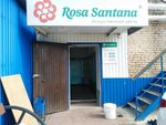 Rosa Santana (Gosparovskaya ulitsa, 2), artificial plants and flowers