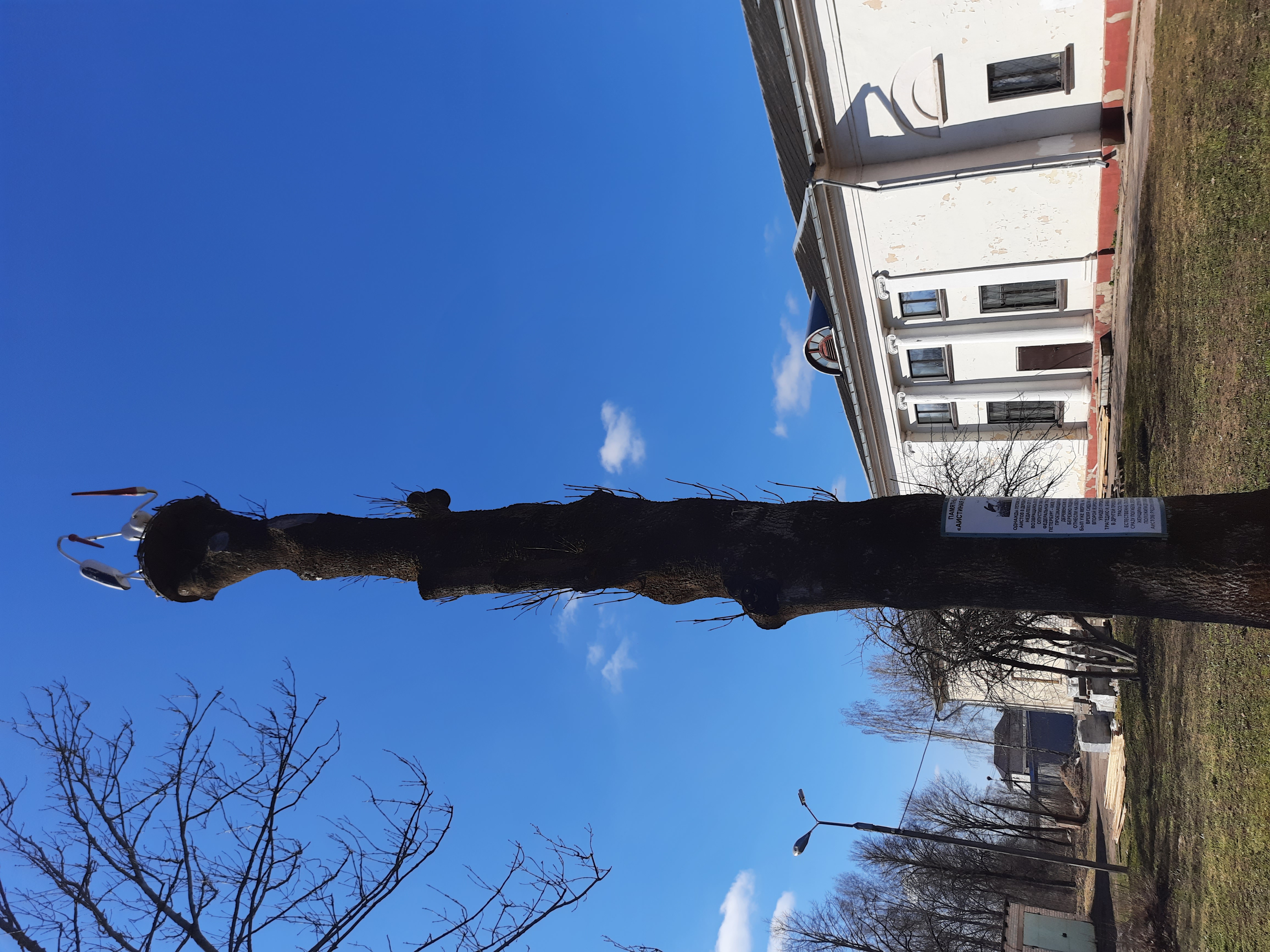 Фото Эффект