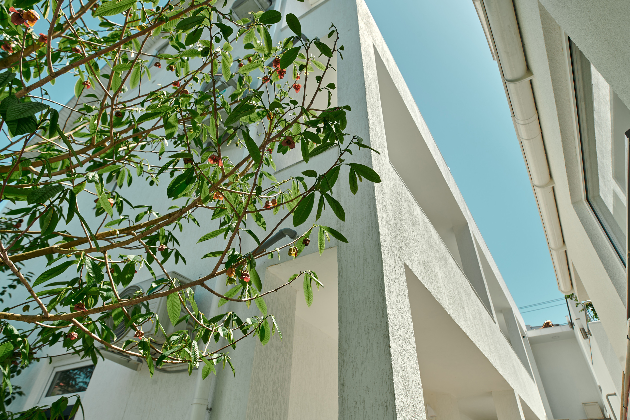 Фото Madisson RoDina