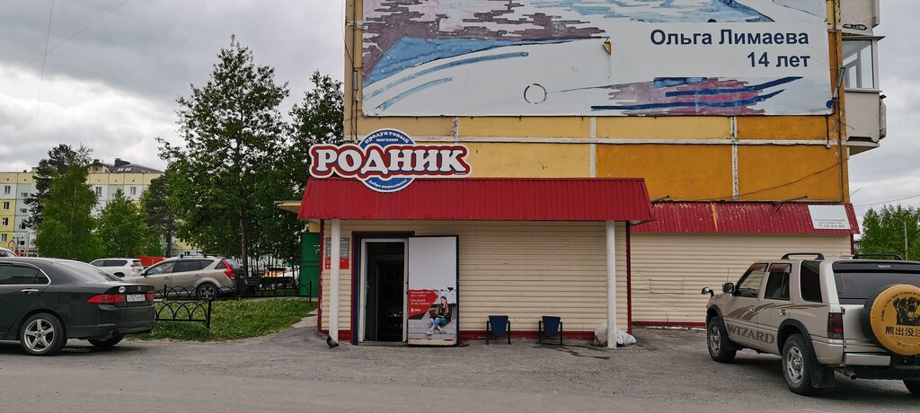 Магазин продуктов Родник, Ноябрьск, фото