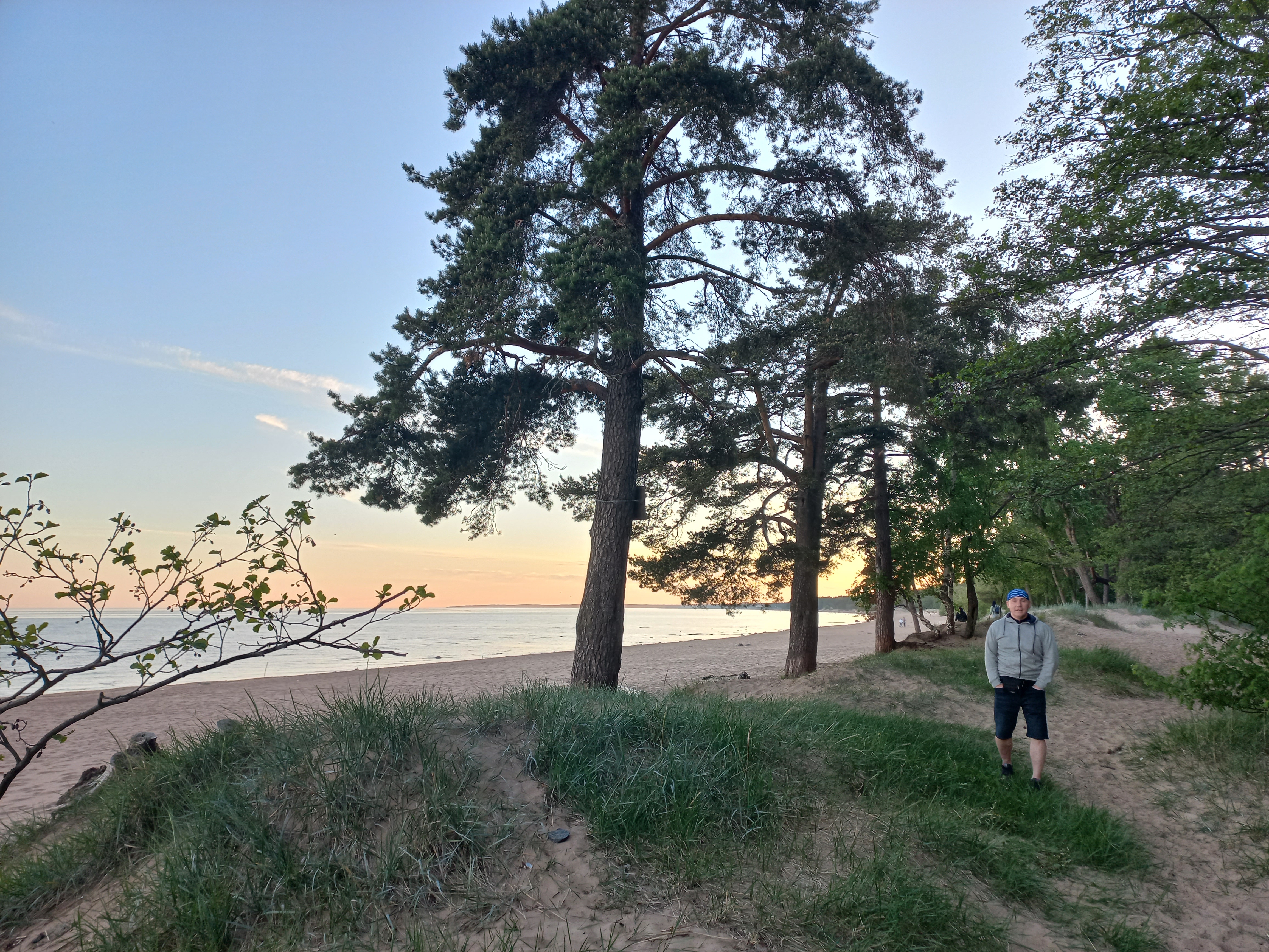 Фото Лайнер