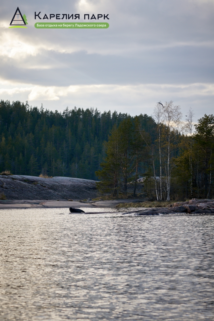 Фото Карелия парк