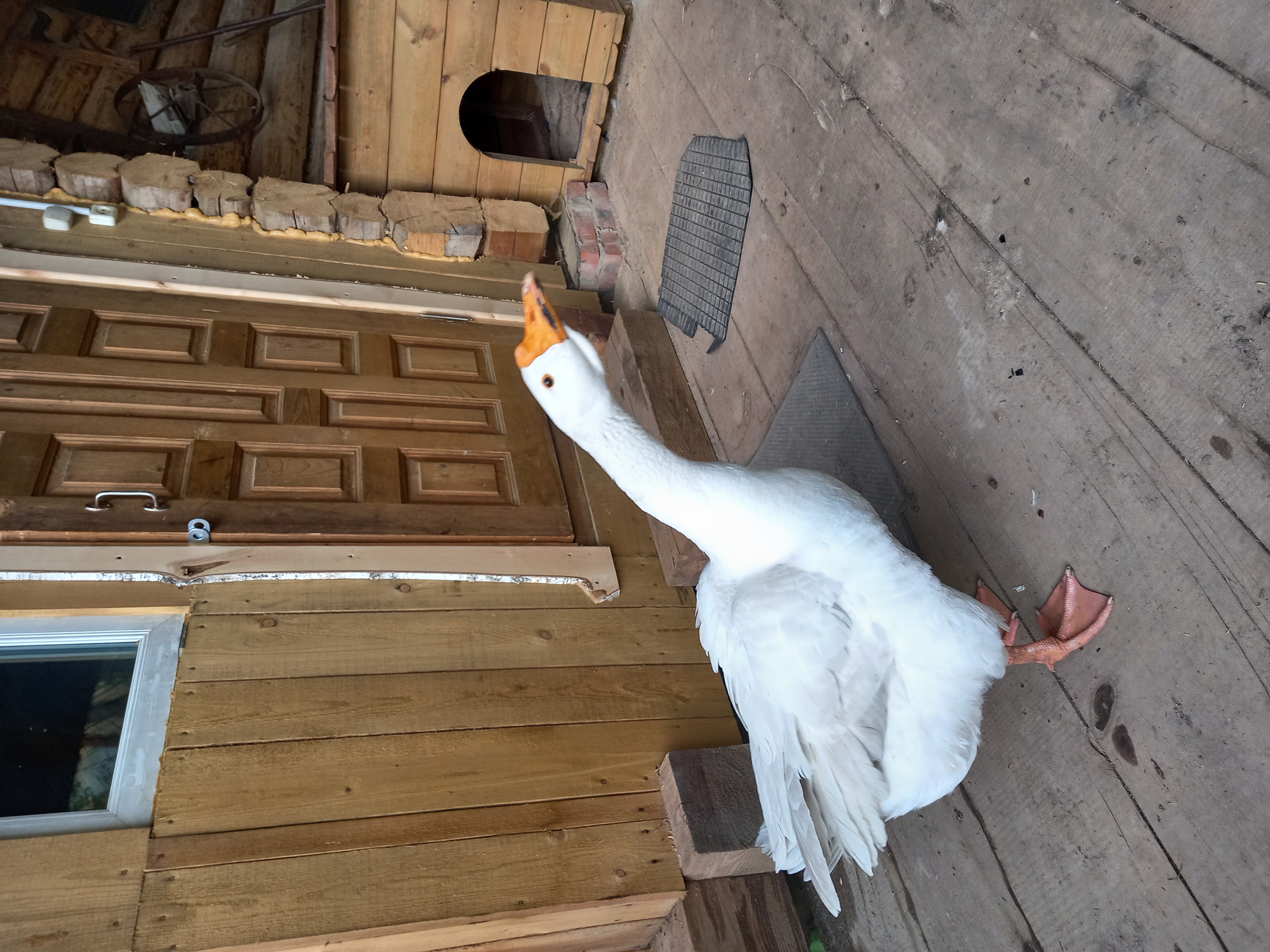 Фото У родника