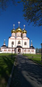 Strannopriimnaya Tower (Novgorod Region, Valdayskiy District, Roschinskoe Settlement, Selvitskiy Island), landmark, attraction