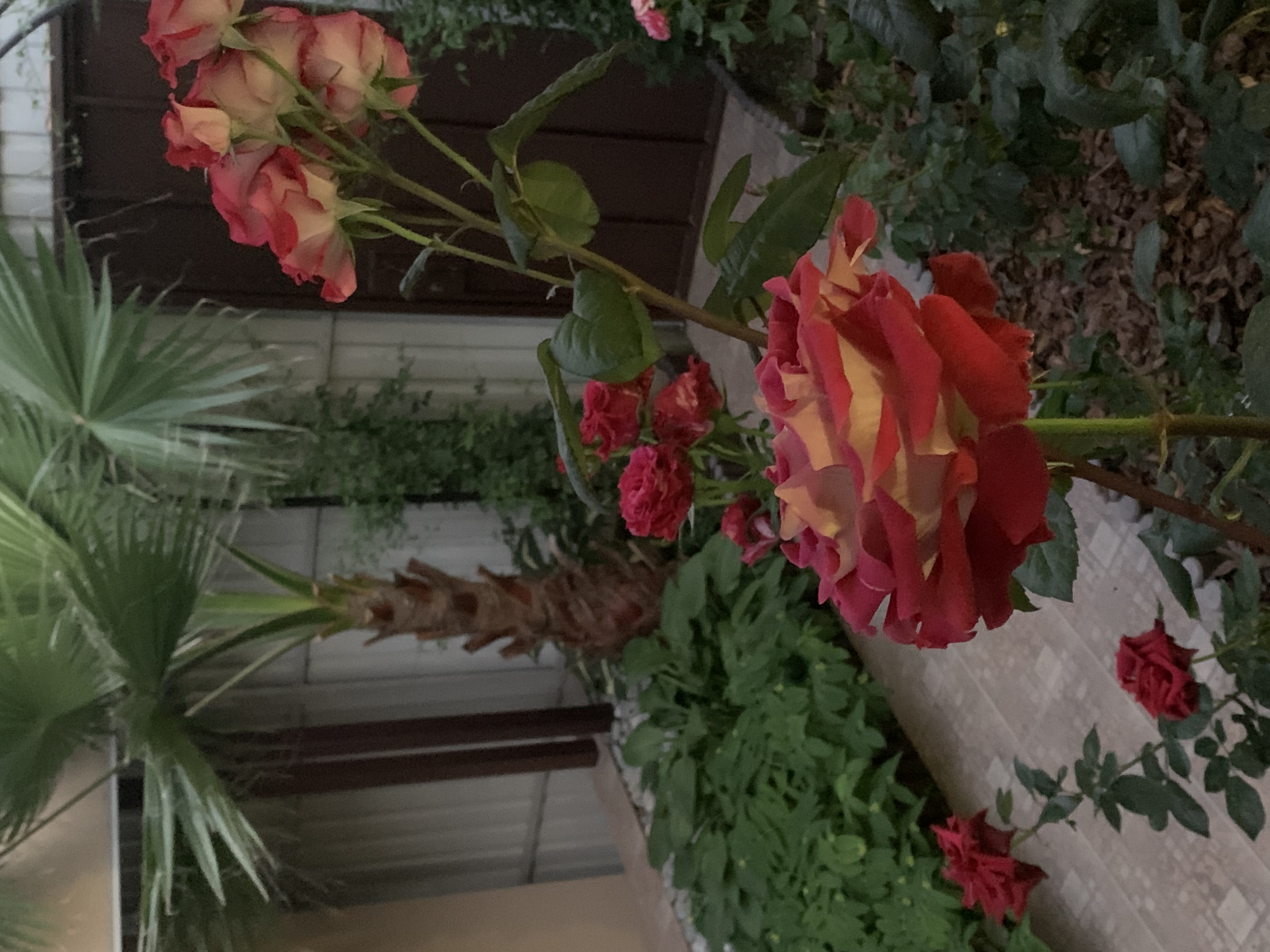 Фото Гостевой дом Лето