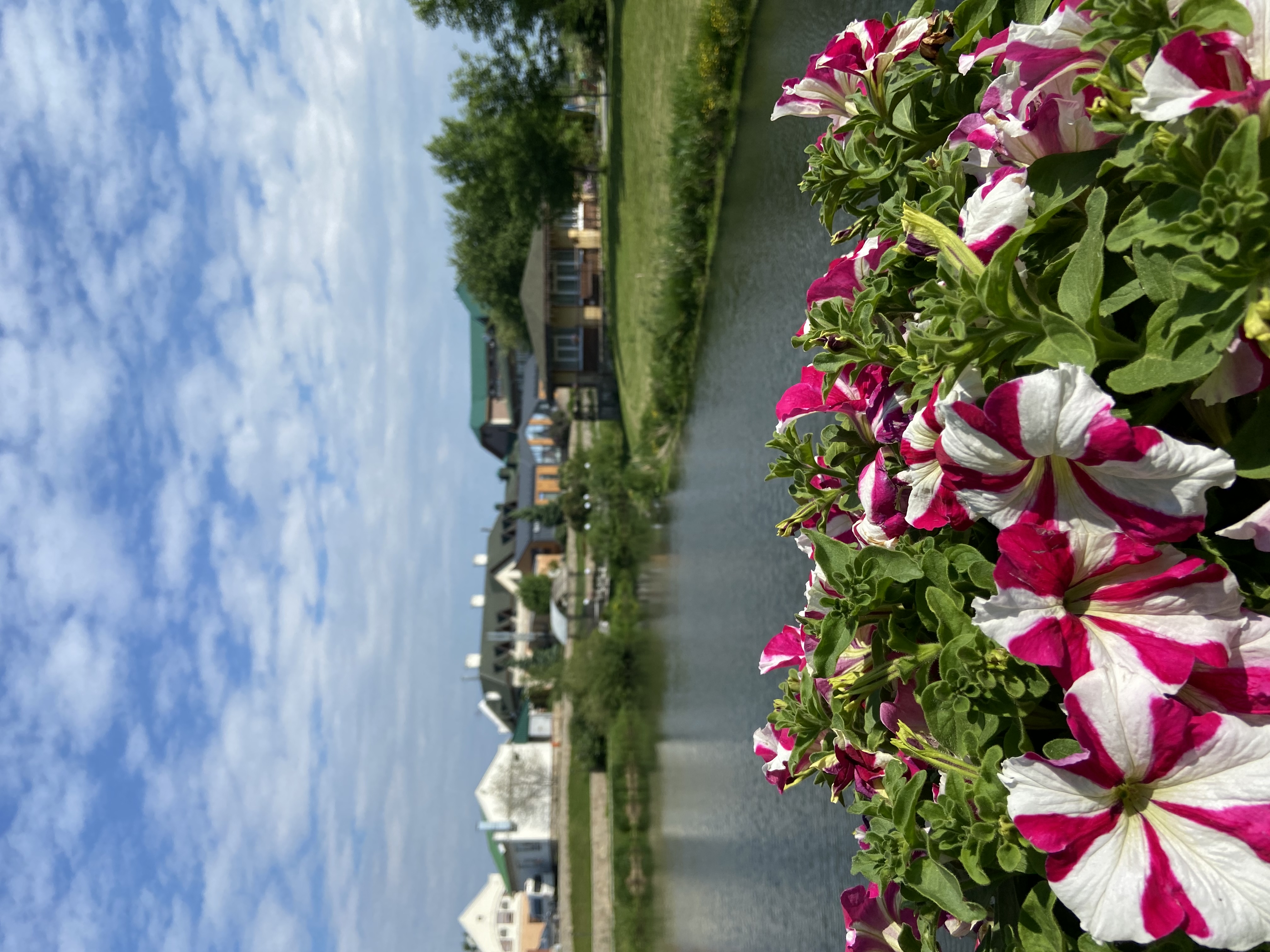 Фото Раздолье