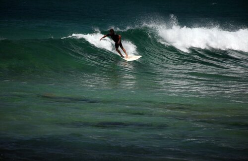 Внешний вид отеля Hilton Cocoa Beach Oceanfront в Коко-Бич, фото 1
