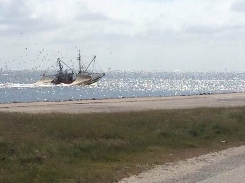 Гостиница Landgasthaus Leezdorfer Hof в Нижней Саксонии