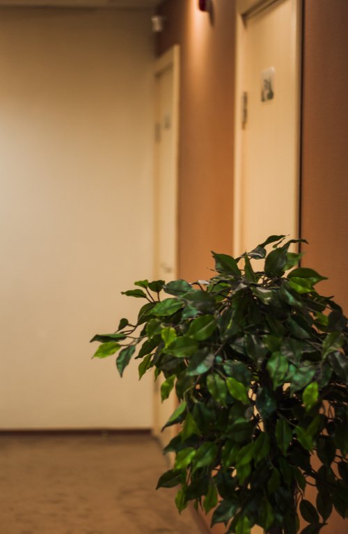 Фото Югорская